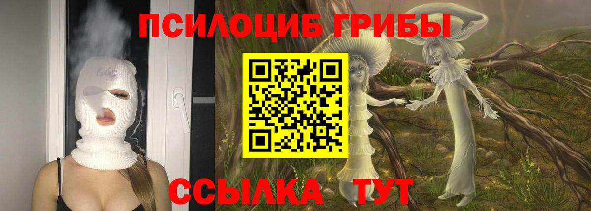 продажа наркотиков  Вход с VPN  Красноперекопск  Псилоцибиновые грибы Magic Shrooms  Псилоцибиновые грибы Magic Shrooms 